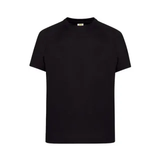 Czarny t-shirt męski z krótkim rękawem, prosty krój. Materiał wygląda na gładki i jednolity.